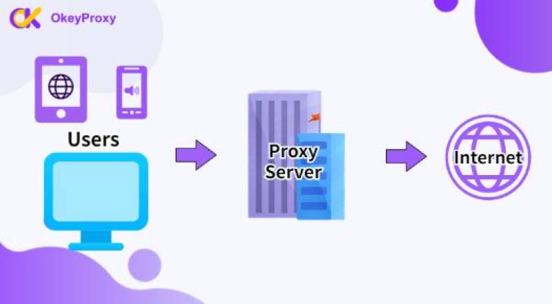 How to Enhance Your Tamilmv Proxy Experience